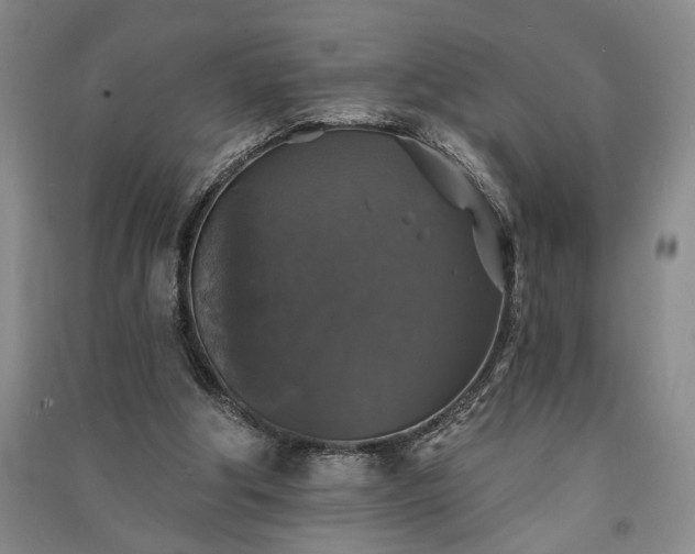 X0000091350202200708171438