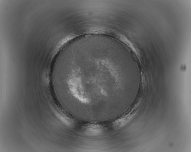 X0000091350203200708171438