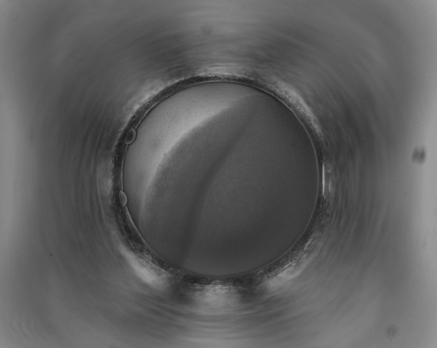 X0000091350204200708171438