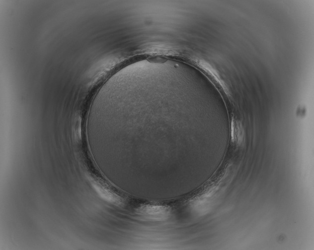X0000091350205200708171438