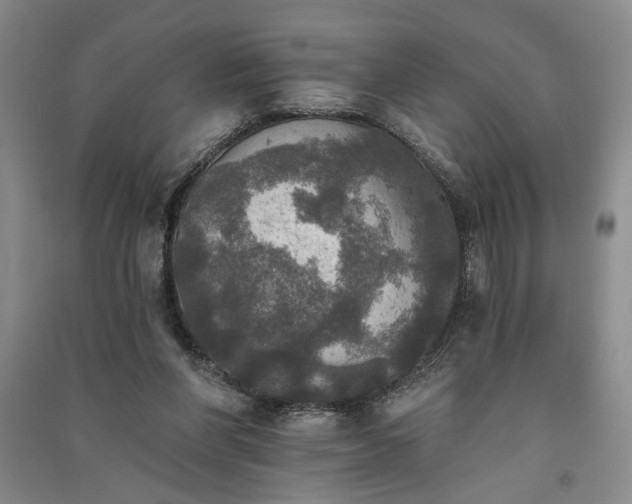 X0000091350206200708171438