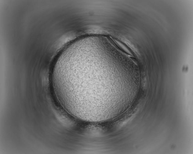 X0000091350207200708171438