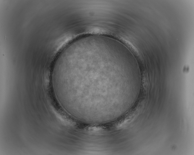 X0000091350208200708171438