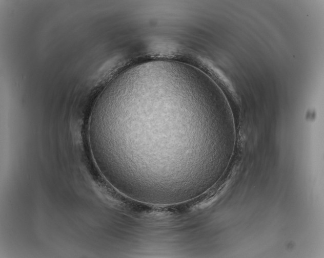 X0000091350209200708171438