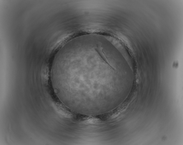 X0000091350210200708171438