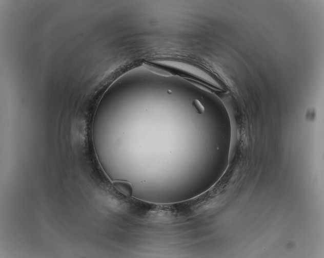 X0000091350211200708171438