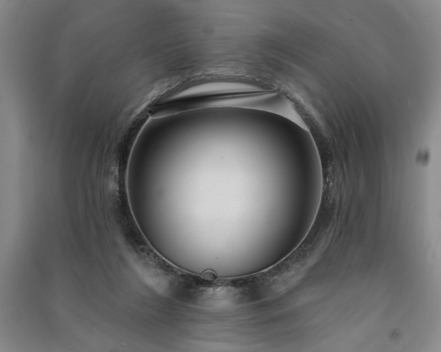 X0000091350212200708171438