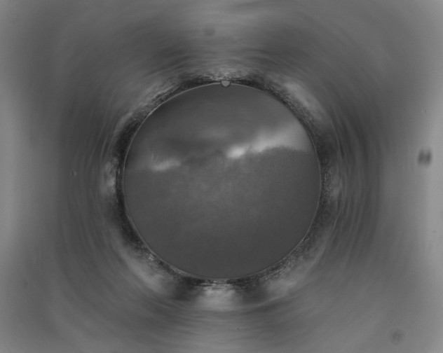 X0000091350214200708171438