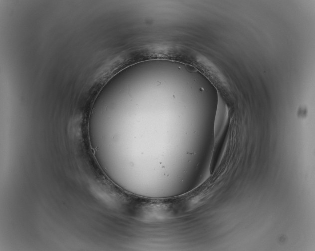 X0000091350217200708171438