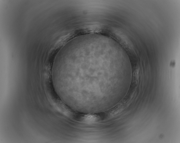 X0000091350218200708171438
