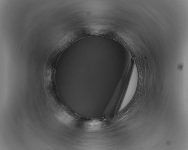 X0000091350219200708171438
