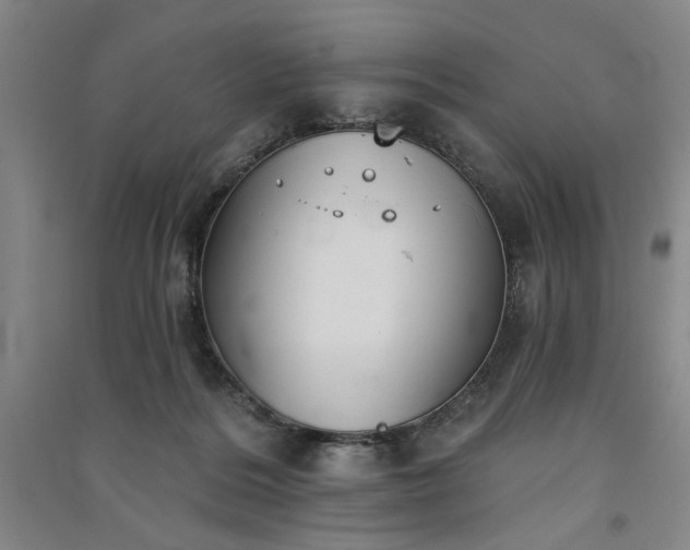 X0000091350220200708171438