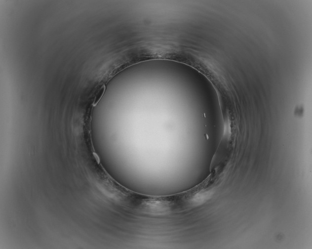 X0000091350221200708171438
