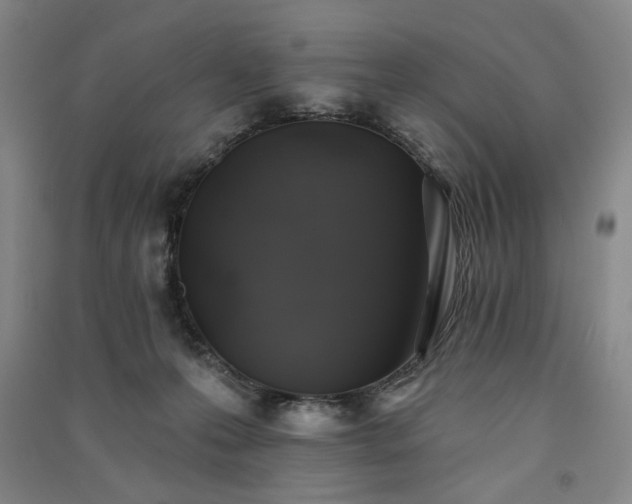 X0000091350223200708171438