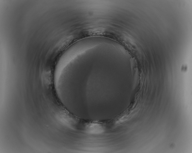 X0000091350224200708171438
