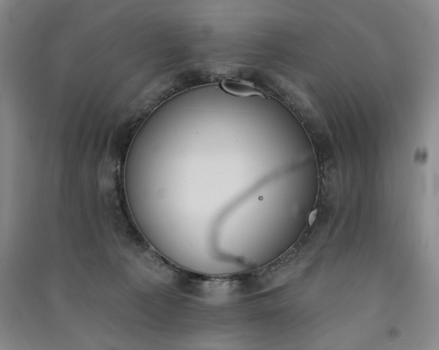 X0000091350225200708171438