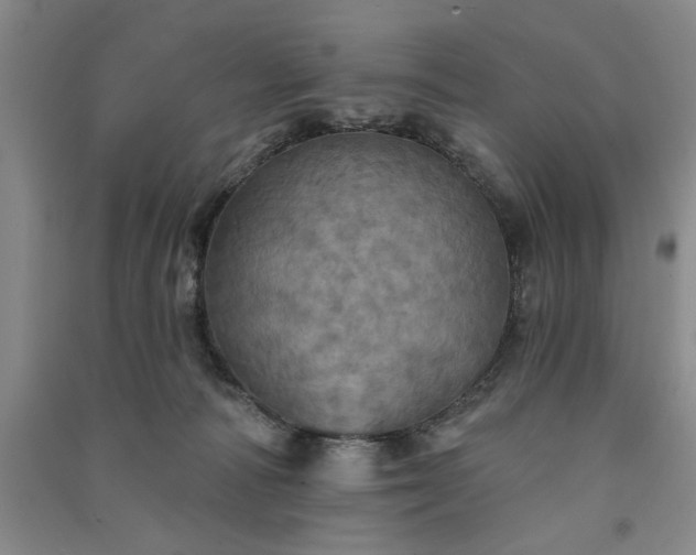X0000091350226200708171438