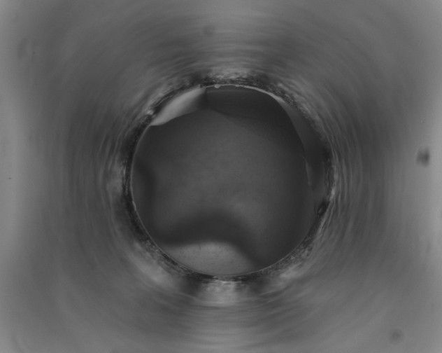 X0000091350227200708171438