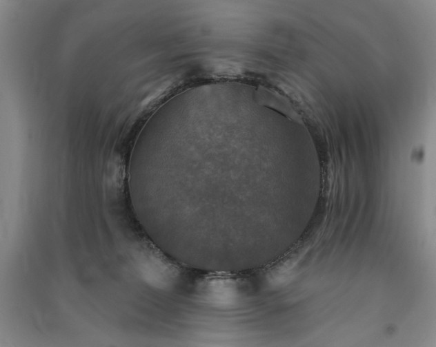 X0000091350228200708171438