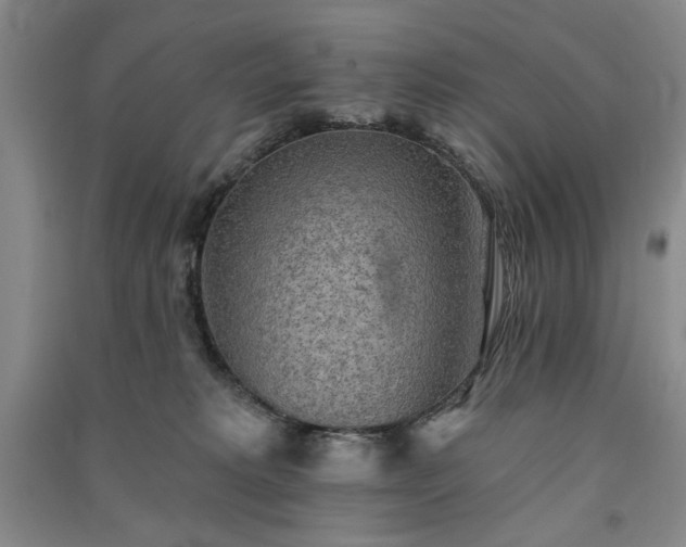 X0000091350229200708171438