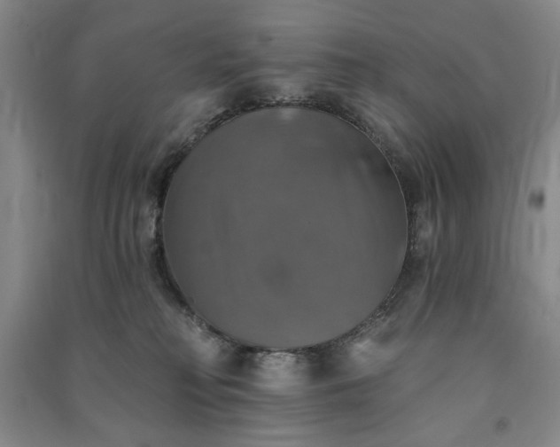 X0000091350230200708171438