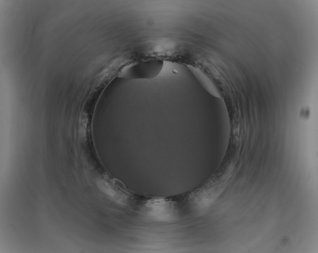 X0000091350231200708171438