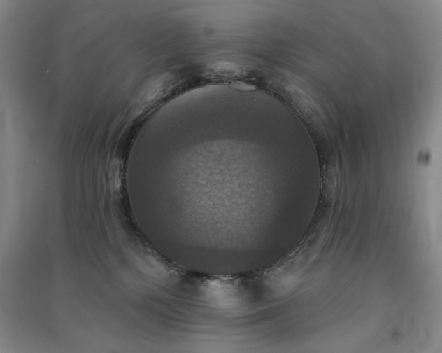 X0000091350232200708171438