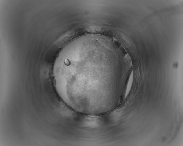 X0000091350233200708171438