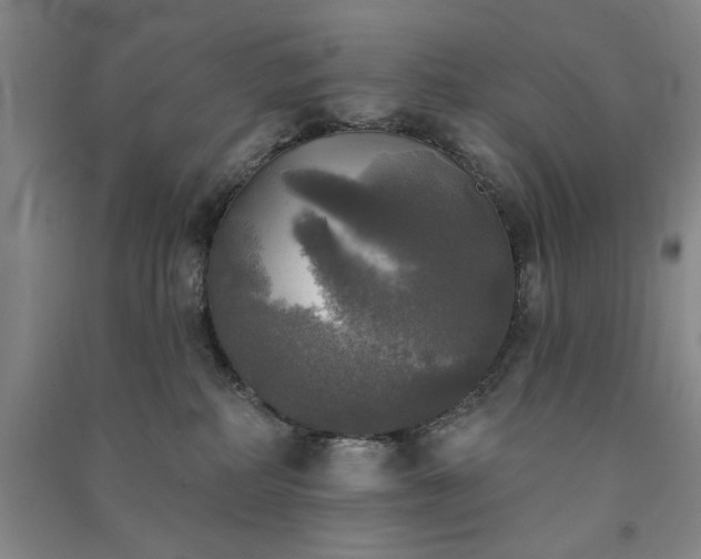 X0000091350234200708171438