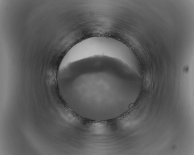 X0000091350236200708171438