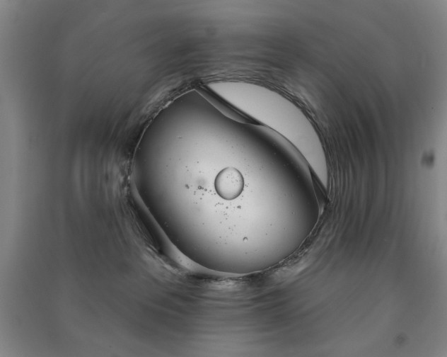 X0000091350237200708171438