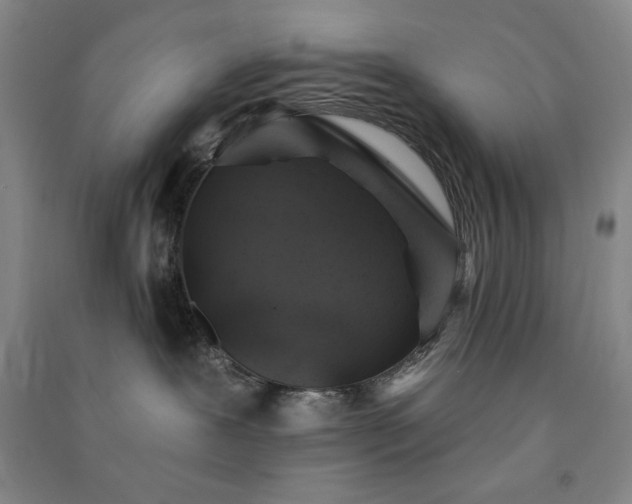 X0000091350239200708171438
