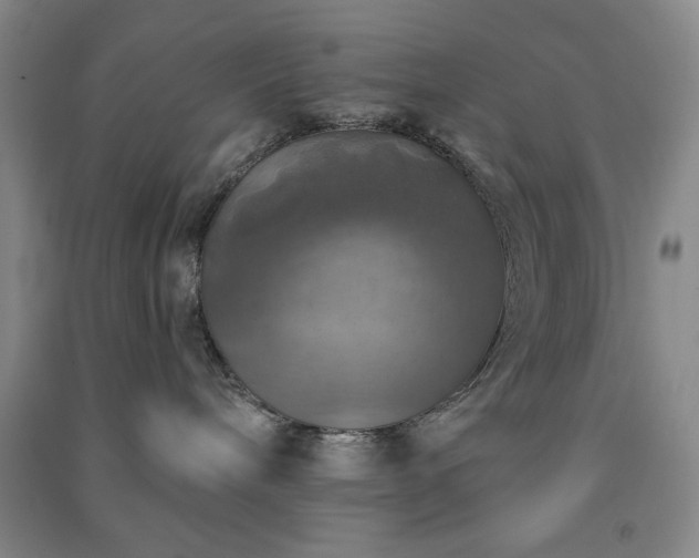 X0000091350240200708171438