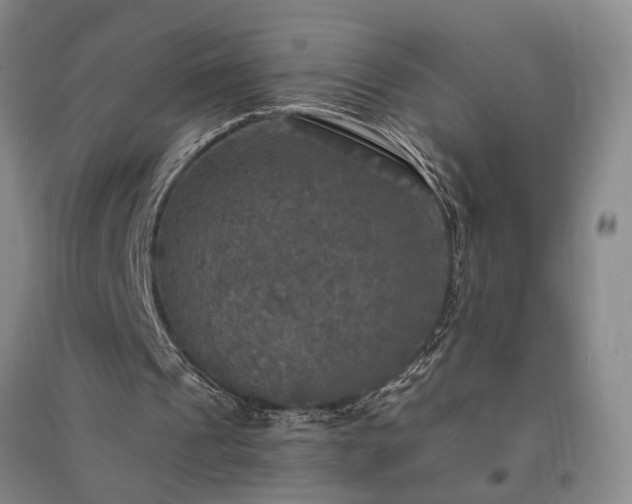 X0000091350241200708171437