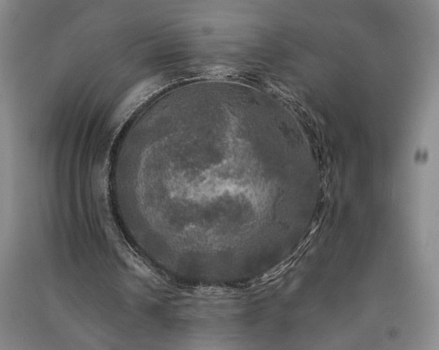 X0000091350242200708171437