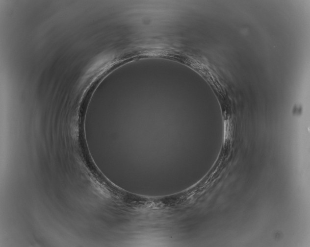 X0000091350243200708171437
