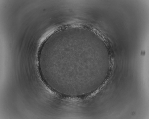 X0000091350245200708171437