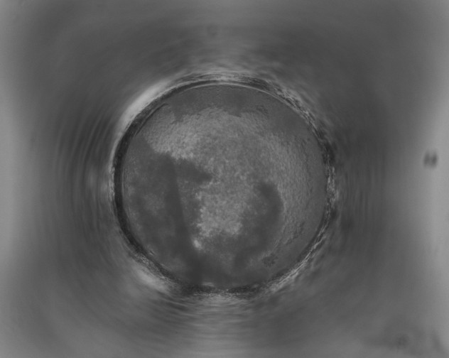 X0000091350246200708171437