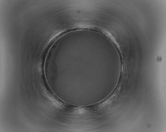 X0000091350249200708171437