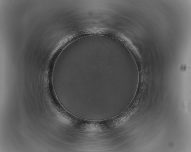 X0000091350250200708171437