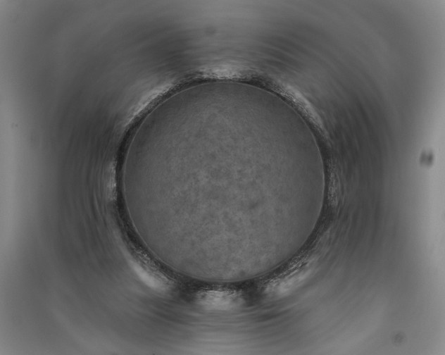 X0000091350251200708171437