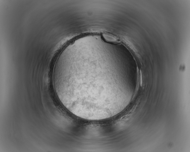 X0000091350252200708171437