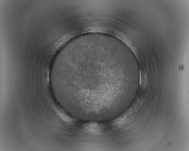 X0000091350253200708171437