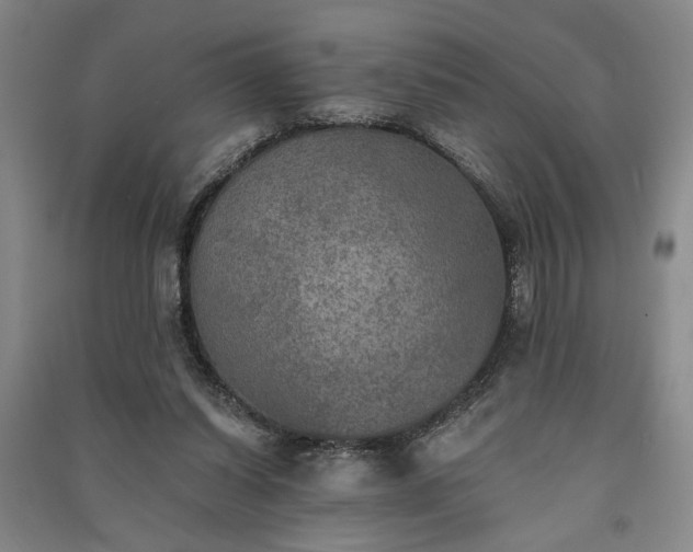 X0000091350254200708171437