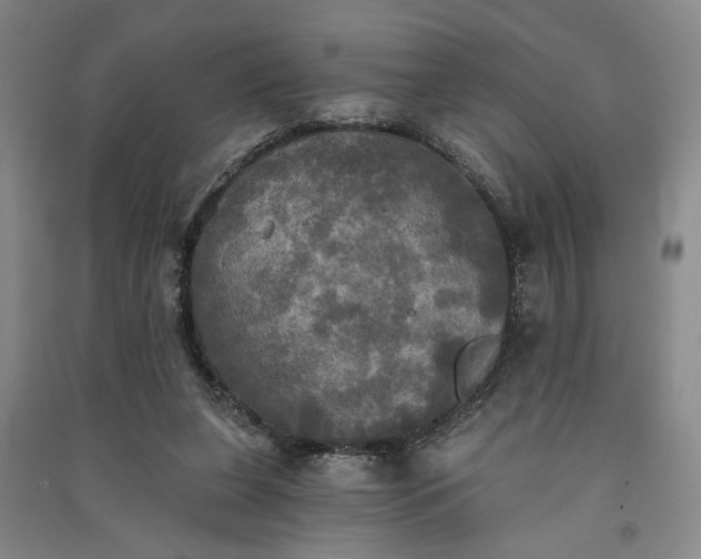 X0000091350255200708171437