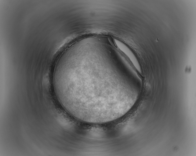X0000091350256200708171437