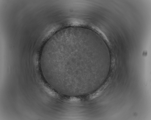 X0000091350257200708171437