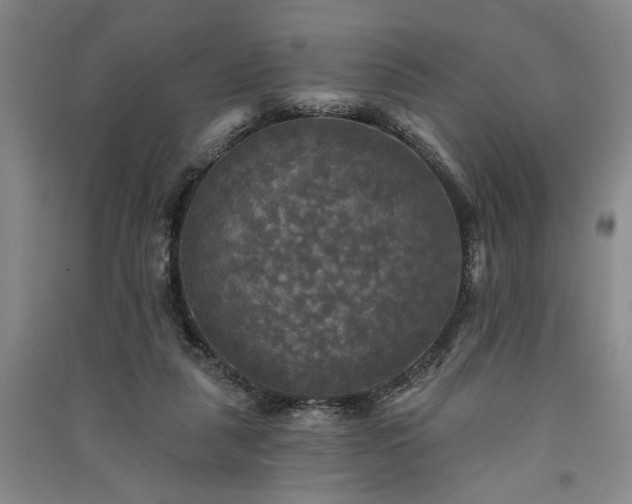 X0000091350259200708171437