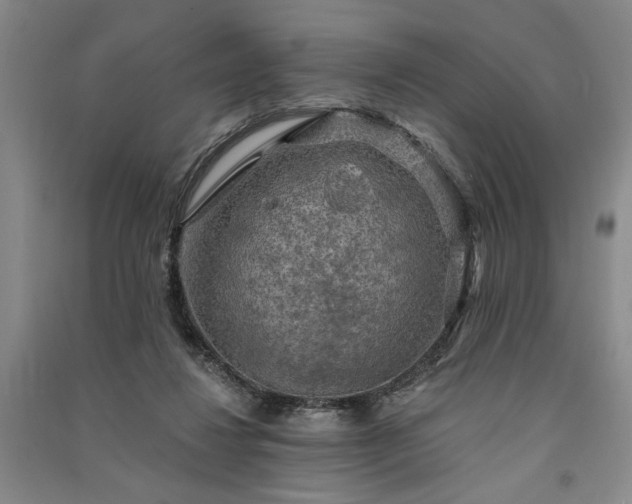 X0000091350260200708171437