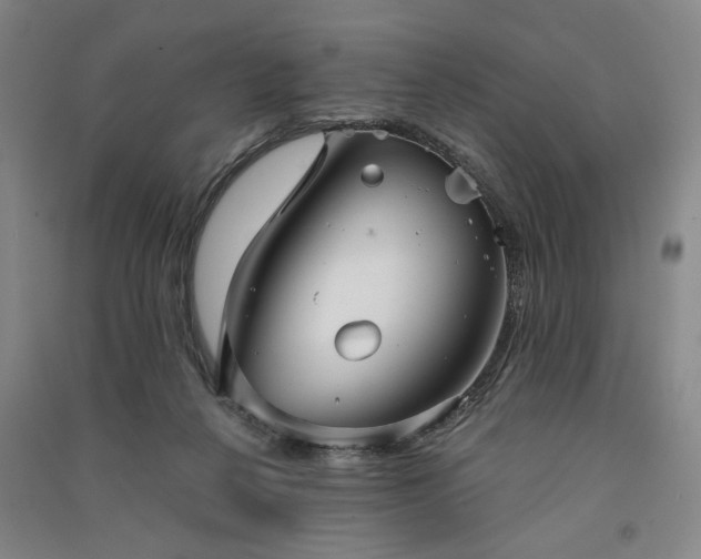X0000091350264200708171437